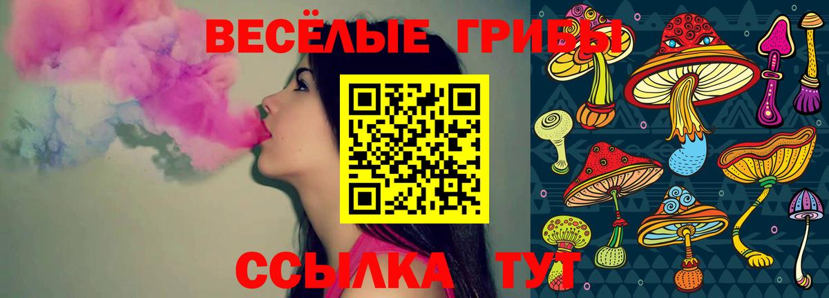 Псилоцибиновые грибы Psilocybe Ейск