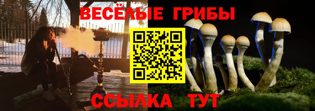 Псилоцибиновые грибы Magic Shrooms  Галлюциногенные грибы мицелий  Вход с VPN  Ейск 